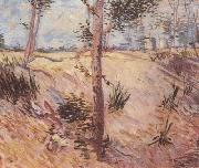 Vincent Van Gogh Trees in a Field on a Sunny Day (nn04) oil painting reproduction